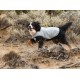 Chaleco Perros Ruffwear Swamp Cooler