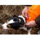 Chaleco Perros Ruffwear Reflectante