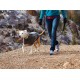 Chaleco Perros para el frio Ruffwear Climate Changer (2016)