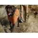 Chaleco Perros para el frio Ruffwear Climate Changer (2016)
