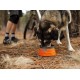 Comedero para Perro Ruffwear Bivy (2016)