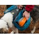 Comedero para Perro Ruffwear Bivy (2016)
