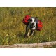 Alforjas para perro Ruffwear Palisades (2016)