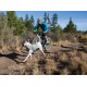 Alforjas para perro Ruffwear Singletrack (2016)