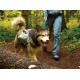 Alforjas para perro Ruffwear Singletrack (2016)