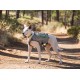 Alforjas para perro Ruffwear Singletrack (2016)