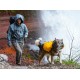 Raincover para alforjas de perro Ruffwear Saddlebag (2016)